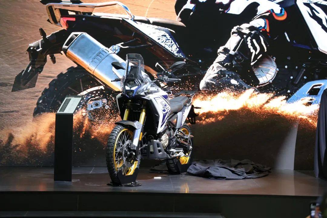 无极DS800 Rally、贝纳利BKX250,老手级、入门级硬核拉力即将上线