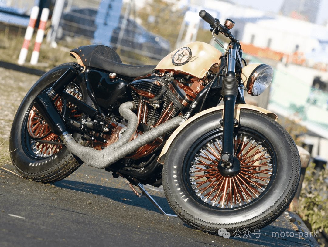 惊艳绝伦的改装巨作:哈雷·戴维森 Sportster XL 1200