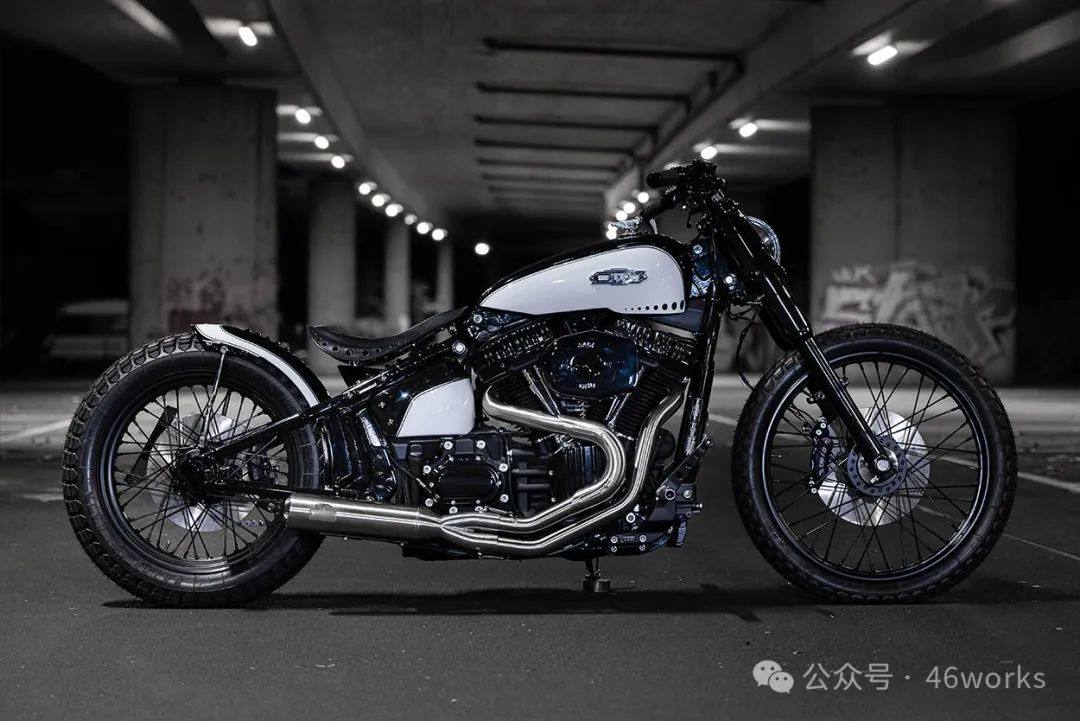 强悍灵魂:Harley Softail Standard