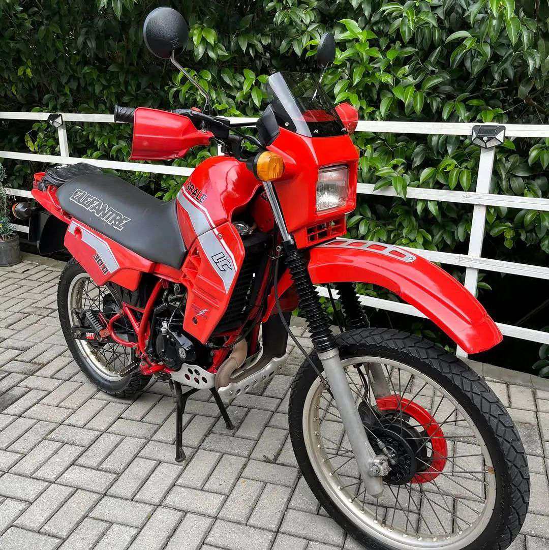 大象3.0经典的2冲越野
