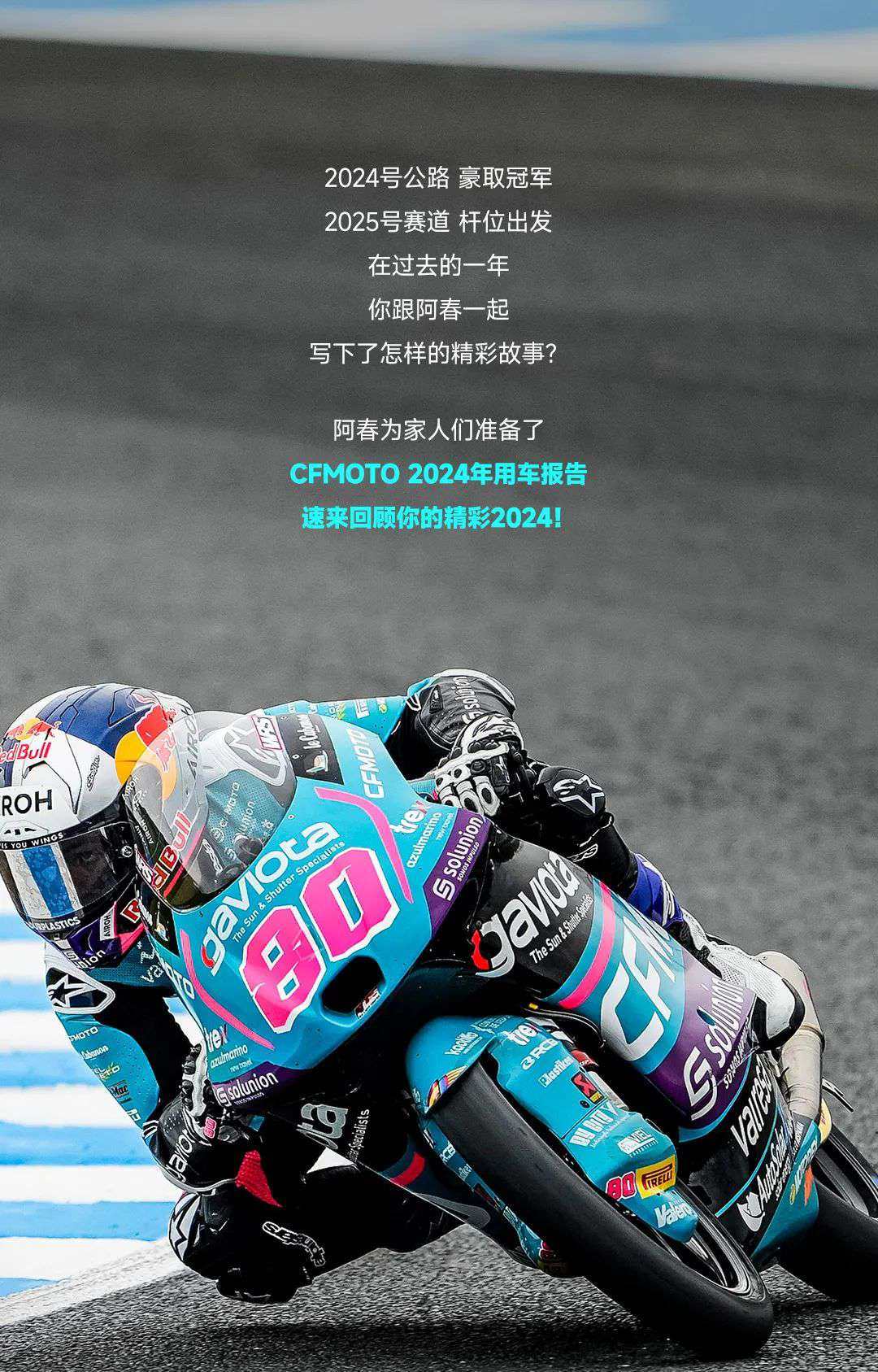 CFMOTO 2024年度用车报告