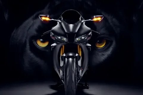 本田发布CBR1000RRR碳纤版...