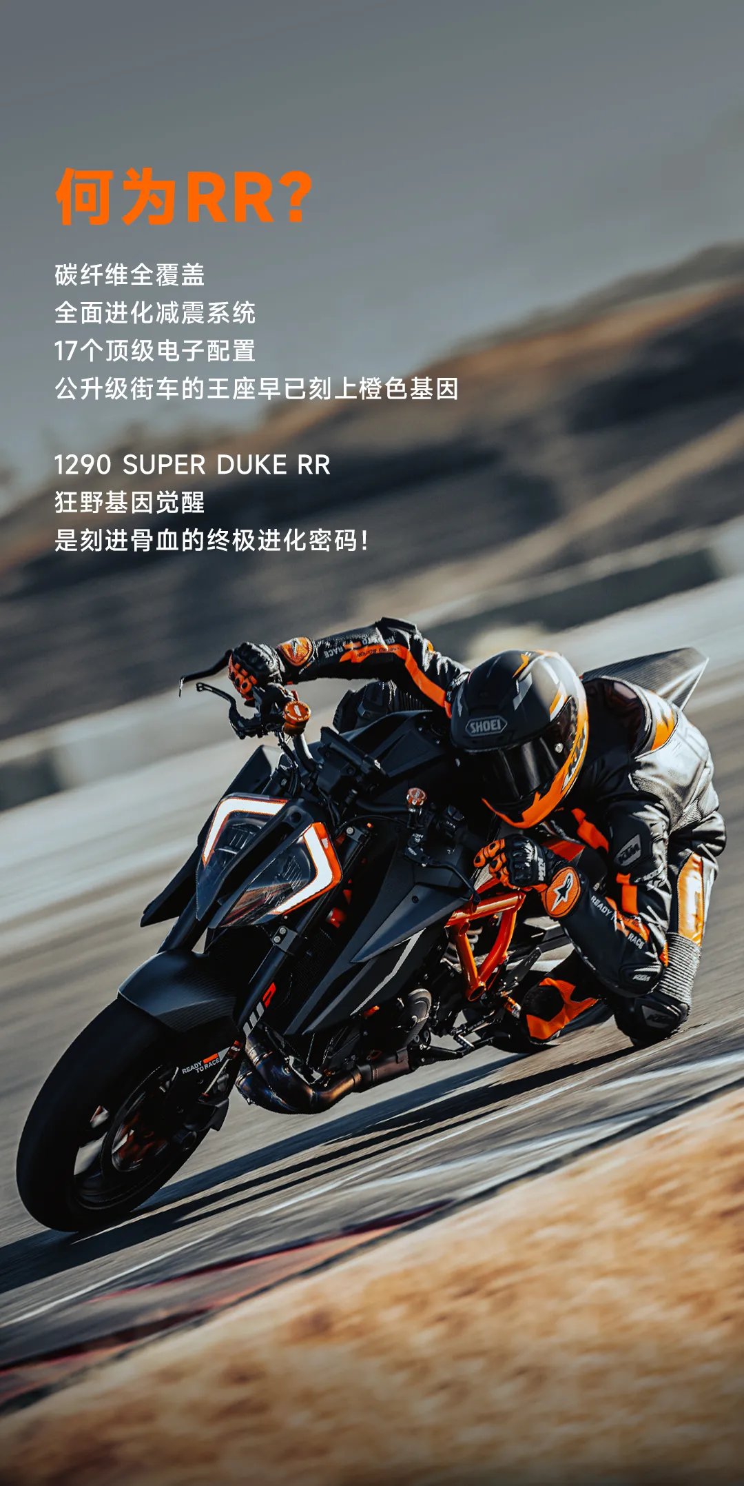 基因觉醒,何为RR?