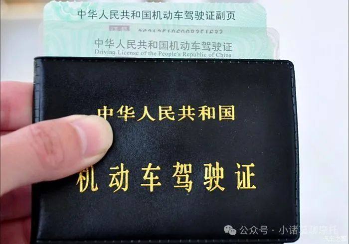 电子驾照可以替代纸质驾照吗？