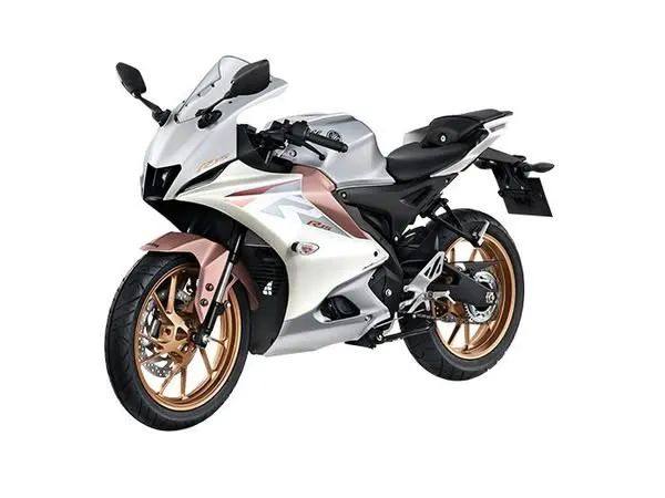 雅马哈发布2025款YZF-R15，小跑车有了猛男粉加持