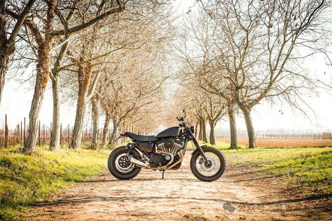 哈雷能不能出一款攀爬者,就像这样 883 Harley Davidson 883scrambler风格改装 | 每日一车