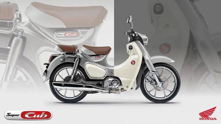 高达3.4万!新款 Honda Super Cub C125 台湾地区发布