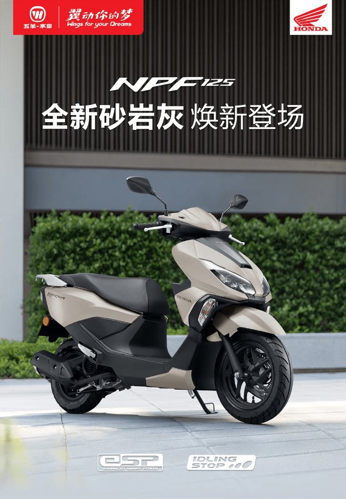 NPF125 | 全新砂岩灰 焕新登场