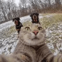 猫猫队大队长