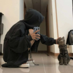猫猫随便