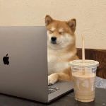 不看假新闻