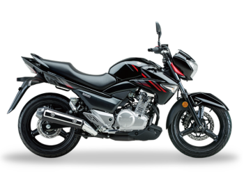 豪爵铃木 骊驰 GW 250-A