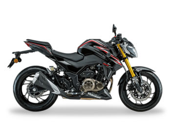 豪爵 DR 300