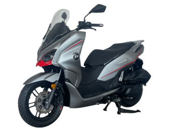 QJMOTOR QJ250T-23H