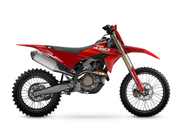 杜卡迪 Desmo 450 EDX