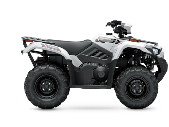 川崎 BRUTE FORCE 450