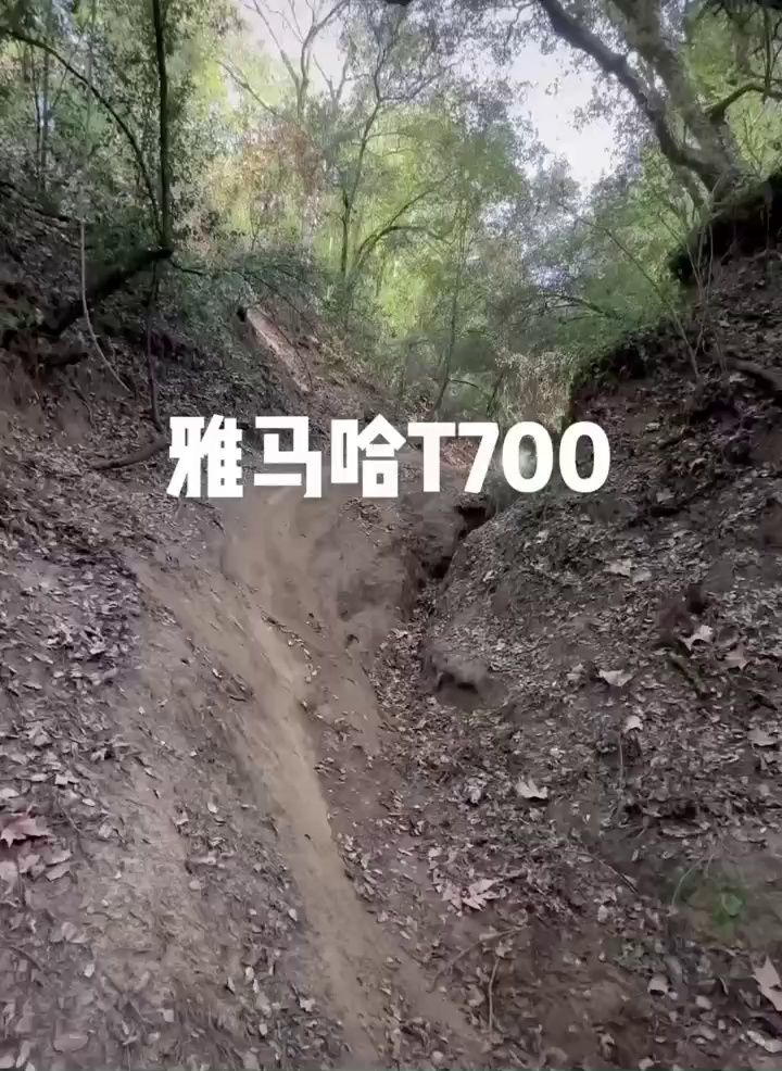 如果你不骚，不建议你骑雅马哈T700