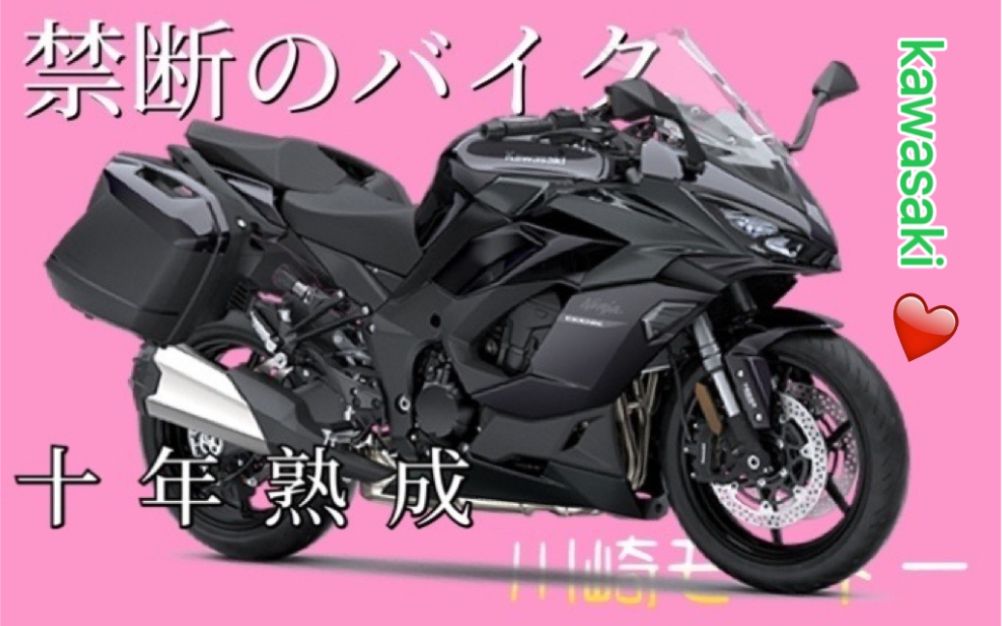 NINJA 1000SXの誘惑.avi