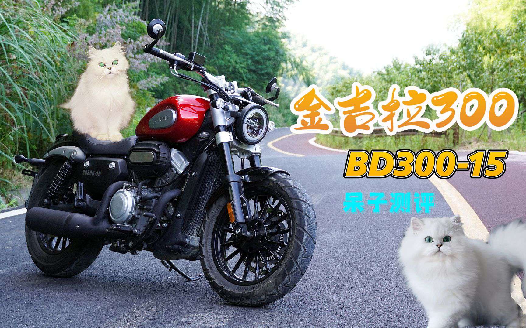 呆子测评 |压弯太子磨头盔， 奔达金吉拉300，骑士网呆子测评