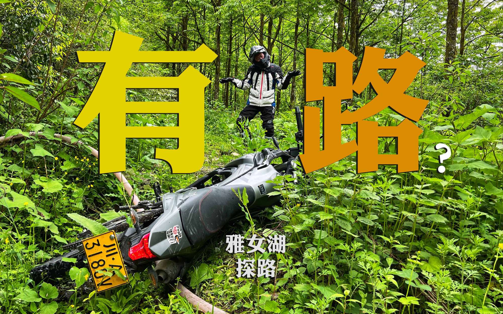 「雅女湖探路」反正都赚不到钱还不如去骑车