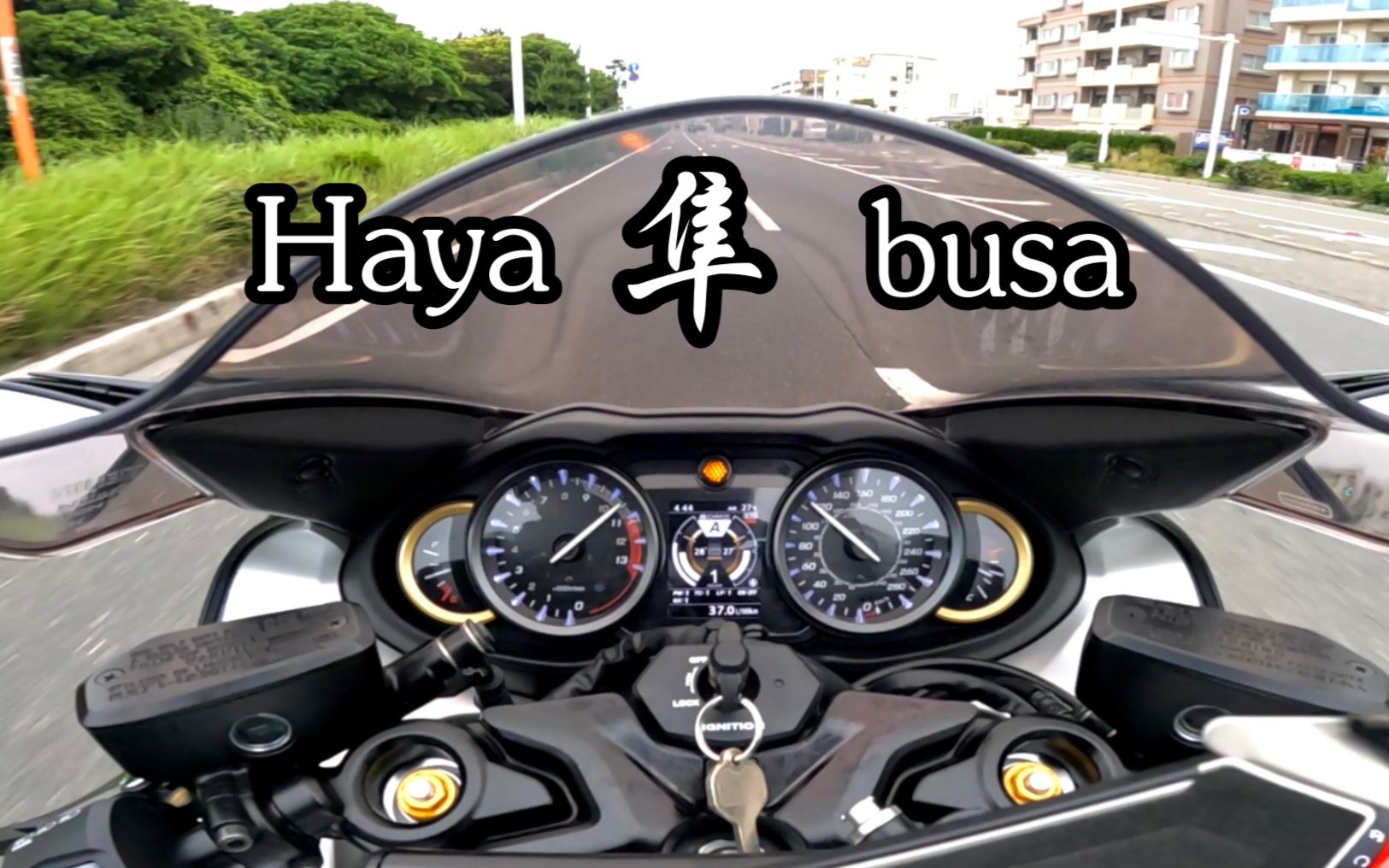 【轻再嫖】你别骑太快啊……别骑太……别！！