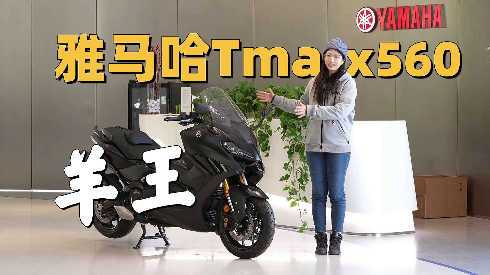 传统踏板天花板，羊王雅马哈Tmax560