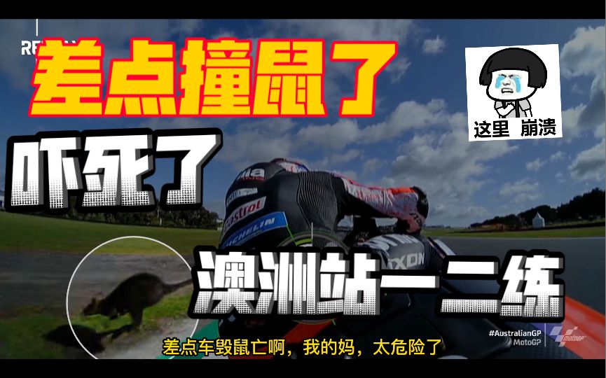 大E差点撞鼠了，肩部摄像头真倒霉，夸塔拉罗笑了。Motogp澳大利亚站一二练简报！