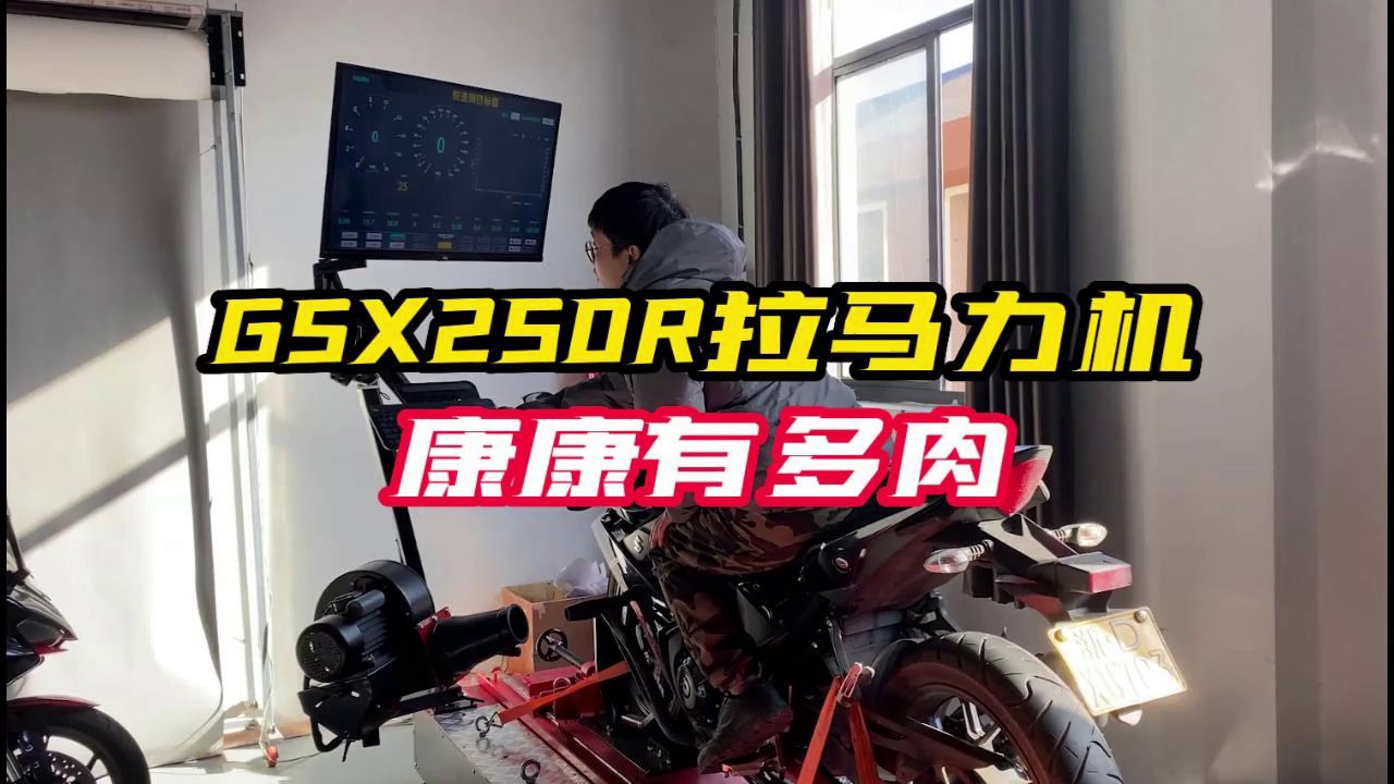 铃木GSX250R动力肉，拉上马力机看看到底有多肉